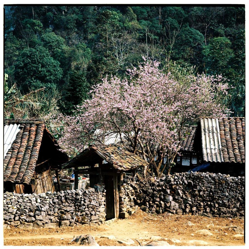Huyen Tram Guesthouse 동반 외부 사진