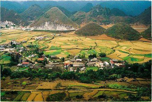 Huyen Tram Guesthouse 동반 외부 사진
