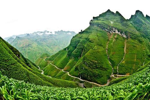Huyen Tram Guesthouse 동반 외부 사진